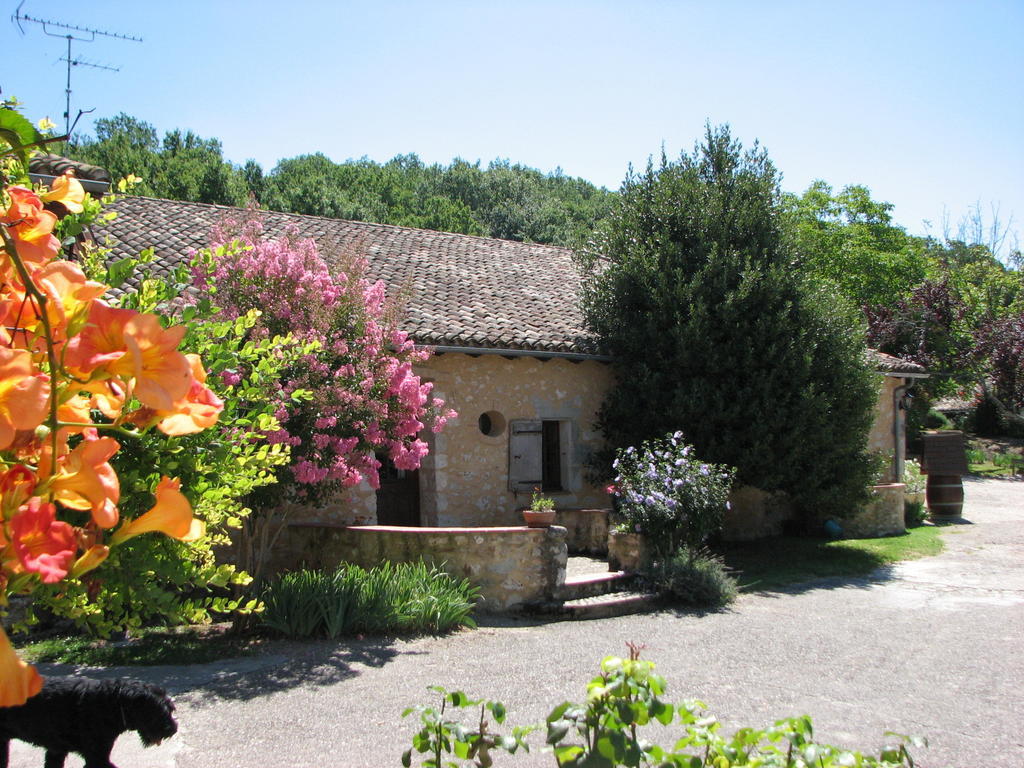 Chambres D'Hotes De Charme Du Chateau De Missandre Saint-Pierre-de-Caubel Cameră foto